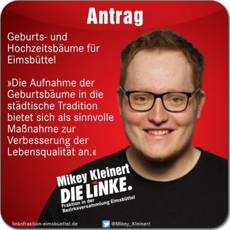Mikey Kleinert zu seinem Antrag "Geburts- und Hochzeitsbäume für Eimsbüttel"
