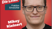 Mikey Kleinert, Fraktionsvorsitzender