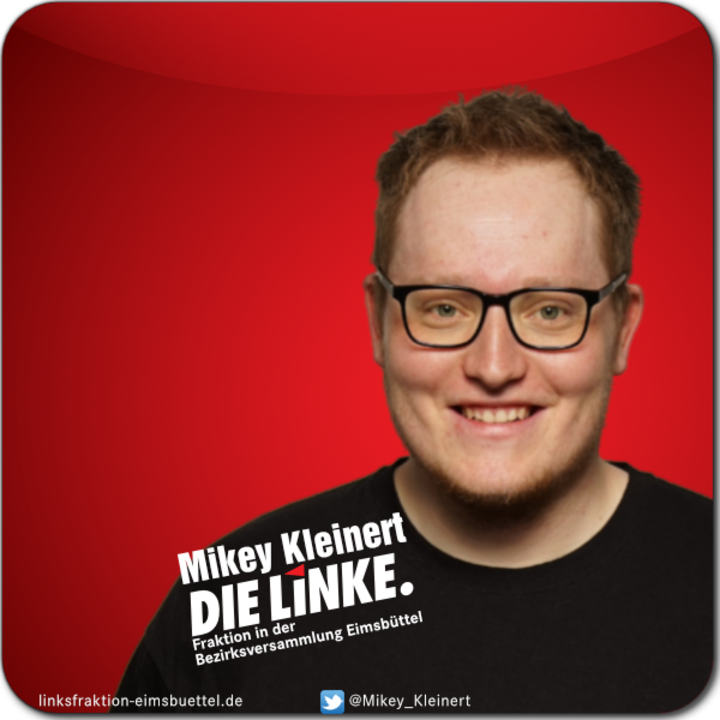 Mikey Kleinert (MdBV Eimsbüttel, Fraktion DIE LINKE, Sprecher)